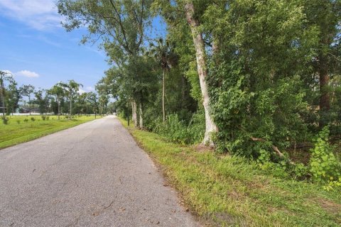 Land in Lutz, Florida № 2380531 - photo 7