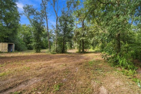 Land in Lutz, Florida № 2380531 - photo 10