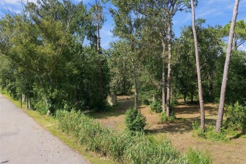 Land in Lutz, Florida № 2380531 - photo 23