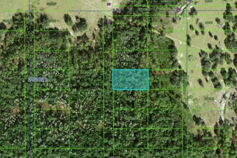 Terrain à Polk City, Floride № 2162226