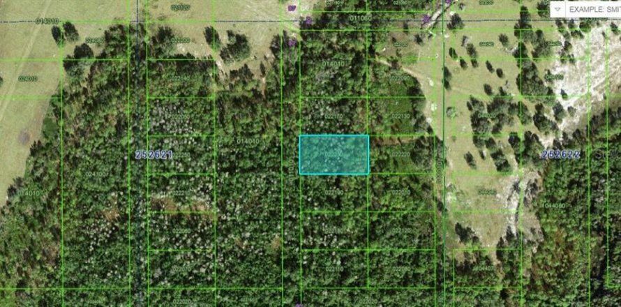 Terrain à Polk City, Floride № 2162226