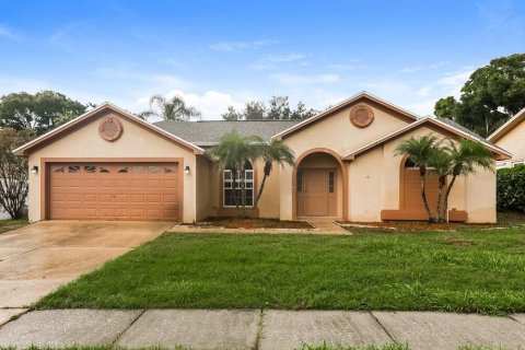 House in Valrico, Florida 4 bedrooms, 195.28 sq.m. № 2367423