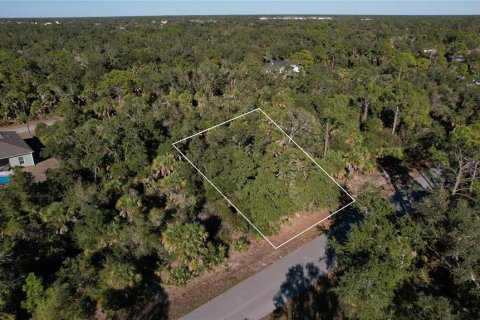 Land in Port Charlotte, Florida № 2163482 - photo 2