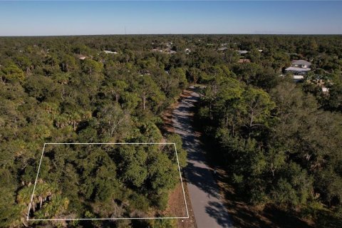 Land in Port Charlotte, Florida № 2163482 - photo 4