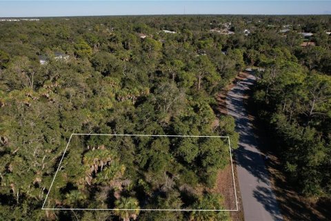 Land in Port Charlotte, Florida № 2163482 - photo 5