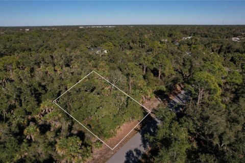 Land in Port Charlotte, Florida № 2163482 - photo 3
