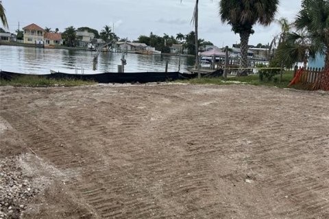 Land in Treasure Island, Florida № 1746712 - photo 4