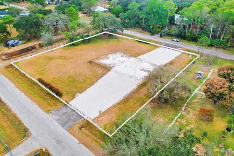 Commercial property in West Palm Beach, Florida № 2251952 - photo 13
