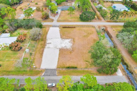 Commercial property in West Palm Beach, Florida № 2251952 - photo 19