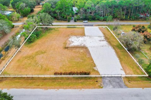 Commercial property in West Palm Beach, Florida № 2251952 - photo 11