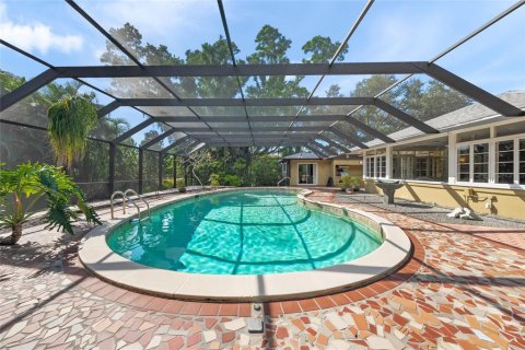 Villa ou maison à louer à Sarasota, Floride: 4 chambres, 288.46 m2 № 2427246 - photo 12