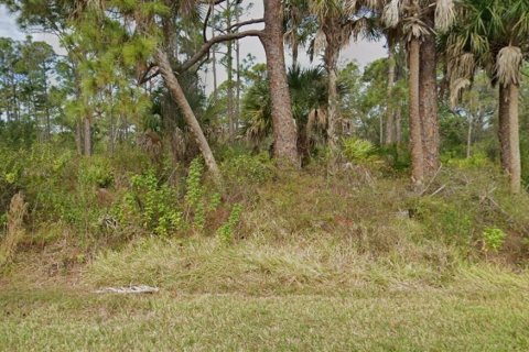 Terreno en Port Charlotte, Florida № 2266354