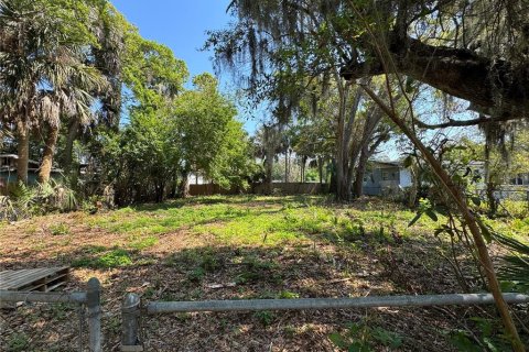 Land in Daytona Beach, Florida № 2205773 - photo 5
