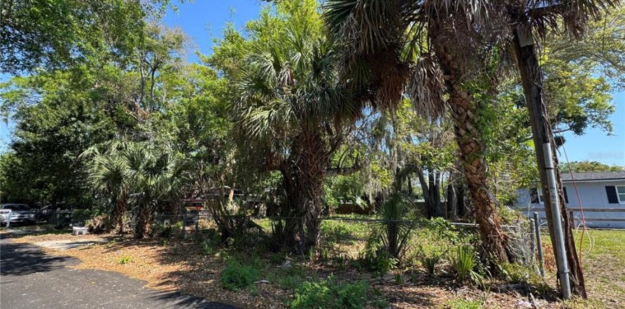 Land in Daytona Beach, Florida № 2205773
