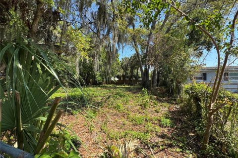 Land in Daytona Beach, Florida № 2205773 - photo 2