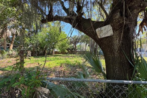 Land in Daytona Beach, Florida № 2205773 - photo 4