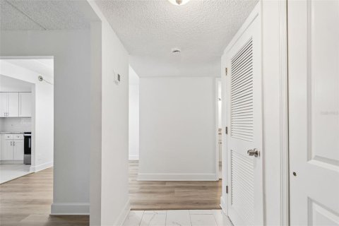 Condo in Saint Petersburg, Florida, 1 bedroom  № 2123198 - photo 13