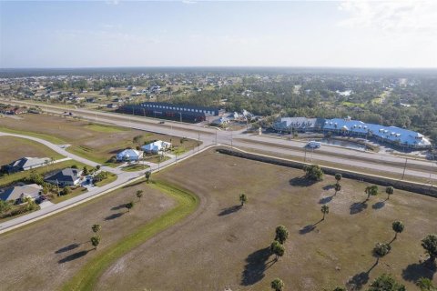 Land in Punta Gorda, Florida № 2163636 - photo 2