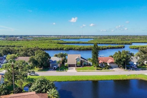 Villa ou maison à vendre à Bradenton, Floride: 4 chambres, 201.6 m2 № 2416684 - photo 4