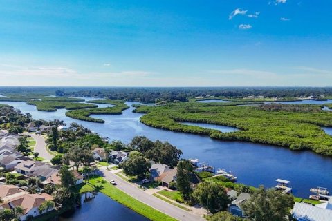 Villa ou maison à vendre à Bradenton, Floride: 4 chambres, 201.6 m2 № 2416684 - photo 3