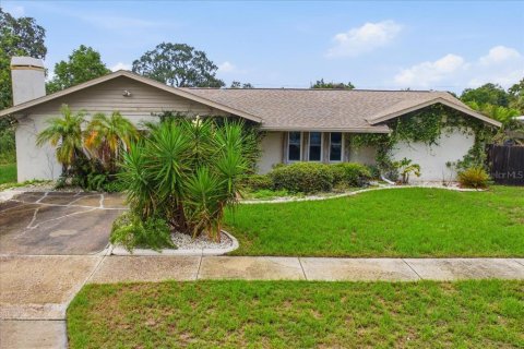 Villa ou maison à Tarpon Springs, Floride 3 chambres, 198.35 m2 № 2279922