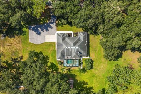 Villa ou maison à vendre à Plant City, Floride: 4 chambres, 222.87 m2 № 2419139 - photo 3