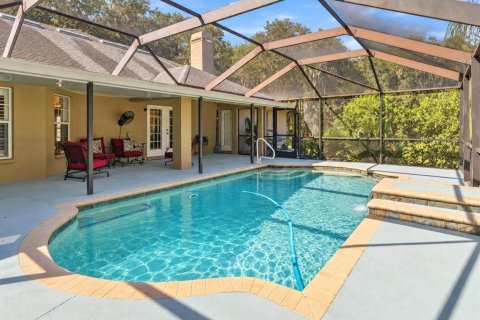 Villa ou maison à vendre à Plant City, Floride: 4 chambres, 222.87 m2 № 2419139 - photo 2