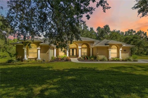 Villa ou maison à Plant City, Floride 4 chambres, 222.87 m2 № 2419139