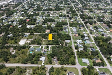 Land in Punta Gorda, Florida № 2165854 - photo 3