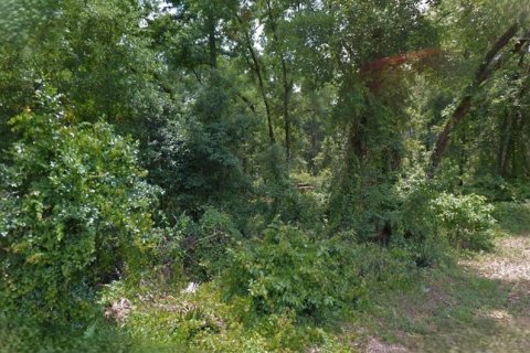 Land in Inverness, Florida № 2161026