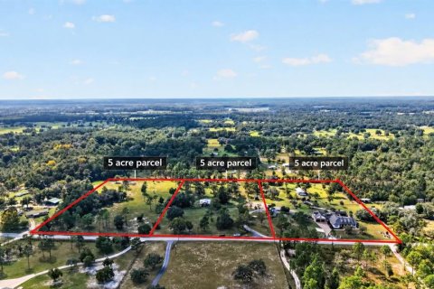 Villa ou maison à vendre à Bronson, Floride: 5 chambres, 414.62 m2 № 2399214 - photo 3