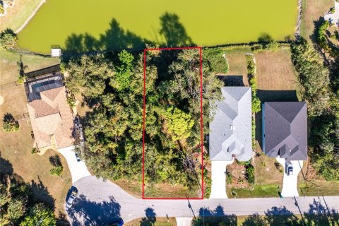 Land in Rotonda, Florida № 2162849 - photo 2