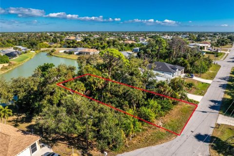 Land in Rotonda, Florida № 2162849 - photo 3