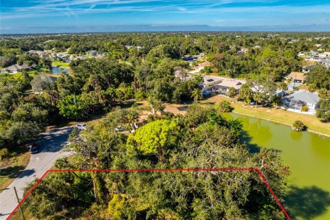 Land in Rotonda, Florida № 2162849 - photo 15