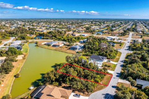 Land in Rotonda, Florida № 2162849 - photo 8
