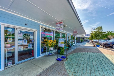 Land in Rotonda, Florida № 2162849 - photo 29
