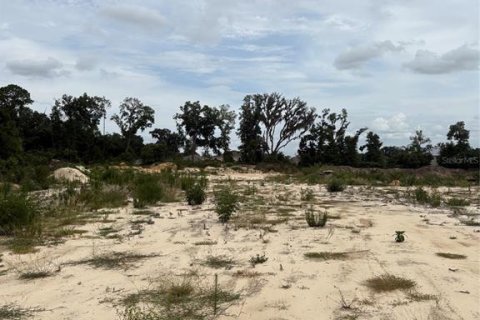 Terrain à vendre à Belleview, Floride № 2218434 - photo 6