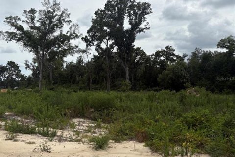 Terrain à vendre à Belleview, Floride № 2218434 - photo 5