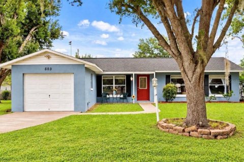 Villa ou maison à Eustis, Floride 3 chambres, 113.81 m2 № 2283510