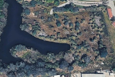 Terrain à Punta Gorda, Floride № 2094806