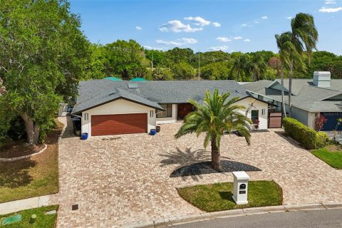 House in Tampa, Florida 4 bedrooms, 260.87 sq.m. № 2117118