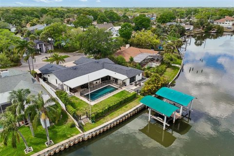 House in Tampa, Florida 4 bedrooms, 260.87 sq.m. № 2117118 - photo 4