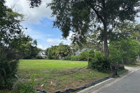 Land in Winter Park, Florida № 1785351 - photo 2