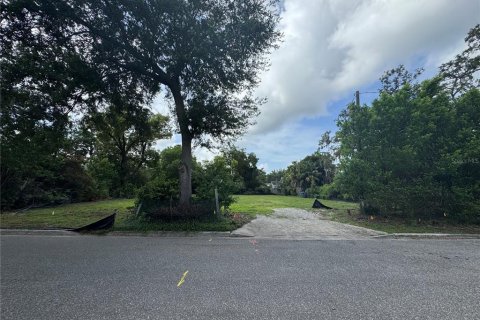 Land in Winter Park, Florida № 1785351 - photo 6
