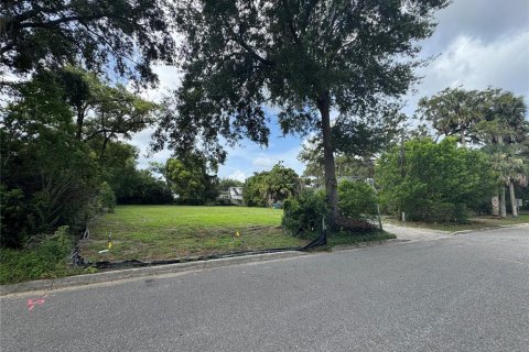 Land in Winter Park, Florida № 1785351 - photo 4