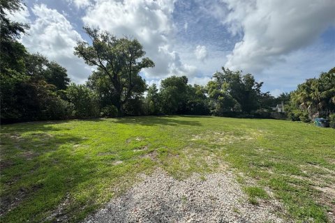 Land in Winter Park, Florida № 1785351 - photo 5