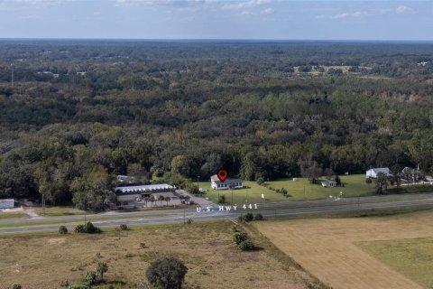 Immobilier commercial à vendre à Micanopy, Floride: 394.56 m2 № 1426962 - photo 6