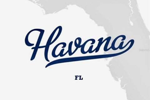 Land in Havana, Florida № 2232758 - photo 6