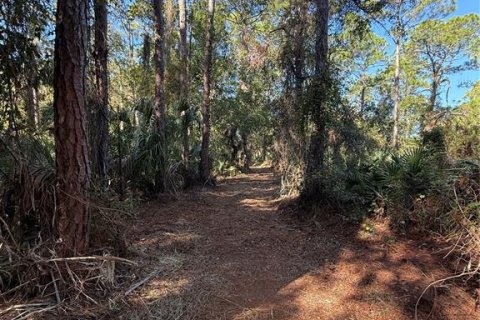 Terrain à vendre à Spring Hill, Floride № 1914822 - photo 8