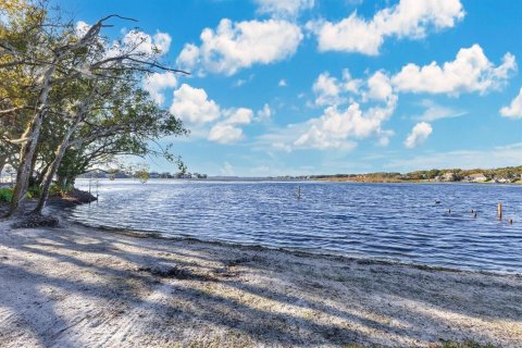 Land in Windermere, Florida № 1513174 - photo 10